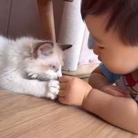 赤ちゃんの手に顔を寄せて