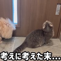 考えに考えた末…