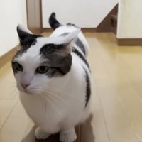 二回目一番の豆大福