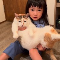 猫を横抱きする女の子