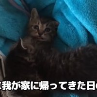 一緒に我が家に