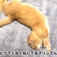ひとりでくねくね
