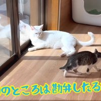 今日のところは