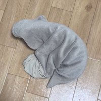 床の上の物体3