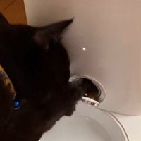 開いた自動給餌器のフタ