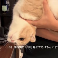 「今日は特別に...」のテロップ写真2