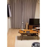 カーテンからのぞく猫