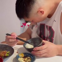 食事中の男性と子猫