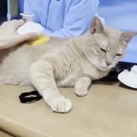 目を細めた表情