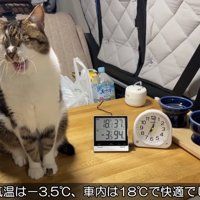 あくびするマサくん