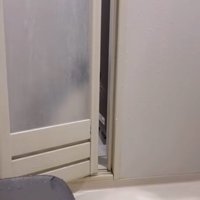 お風呂のドアの影に隠れている猫