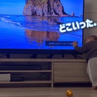 どこいった…？