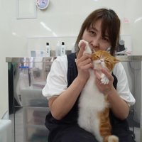 右前足を上げてポーズ