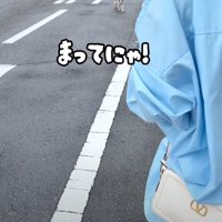 野良猫