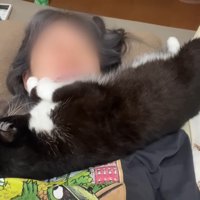 首元に横たわった姿