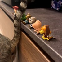 しっぽでフィギュアを触っている猫