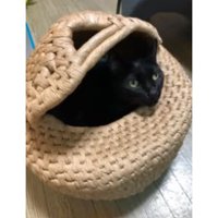 ちぐらに入る猫
