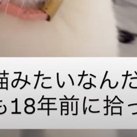 テロップ