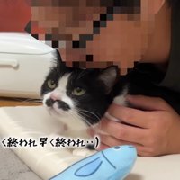 早く終われ…