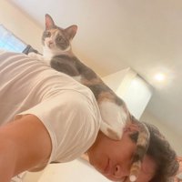 美しく成長した猫