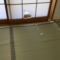 さらに広がった障子の穴
