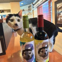 ワインボトルの後ろにいる猫
