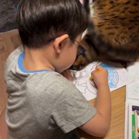 塗り絵をしている子どもと目の前で横になっている猫