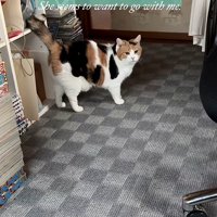 「一緒に…」と書かれた写真