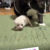 感謝
