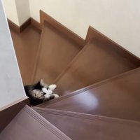 階段