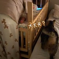 大丈夫？