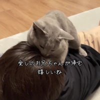 人にすり寄っている猫