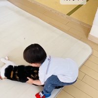 保護猫を移動させる男の子