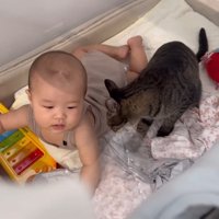 カミカミするももまるちゃん