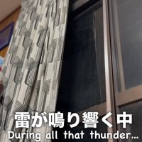部屋の窓から映した外の様子