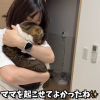 女性に抱っこされている猫