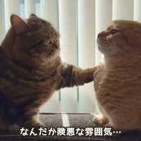 なんだか険悪な雰囲気…