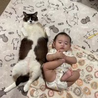 仰向けの猫と赤ちゃん