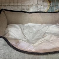 誰もいない様子
