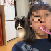 歯磨き中