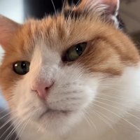 顔のドアップ