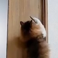 傾くドアノブ