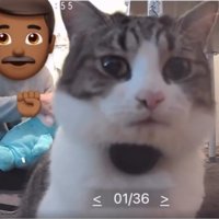 沐浴練習する男性と猫