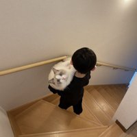 猫を抱き抱えながら階段を降りる男の子