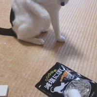 煮干しを優しく叩く