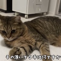 「その浮いてる...」のテロップ写真