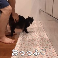 おっっふ♡