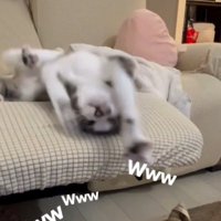 横着な戦い方
