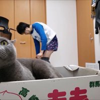 ズボンを脱ぐパパさん