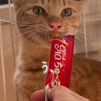 口元におやつを当てる